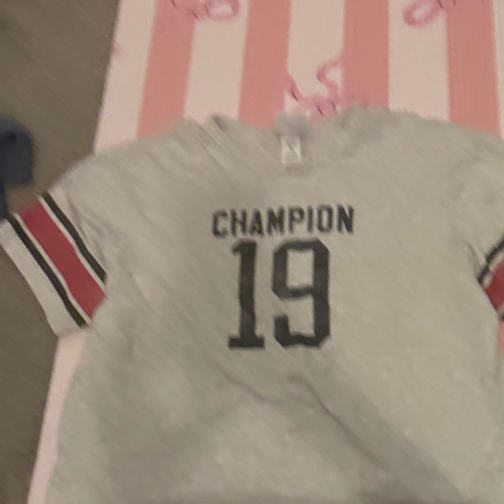 Champion women’s crop top Gray T-Shirt with Red and Black Stripes